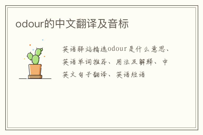 odour的中文翻译及音标