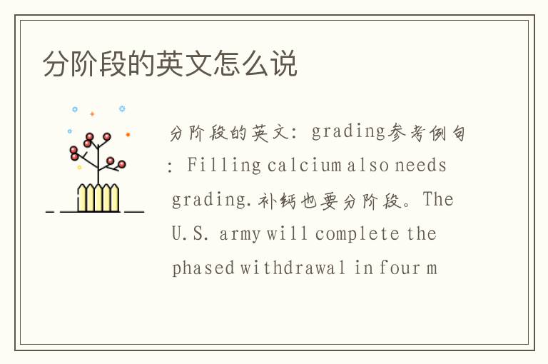 分阶段的英文怎么说