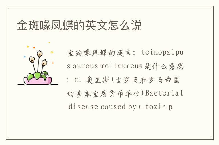 金斑喙凤蝶的英文怎么说