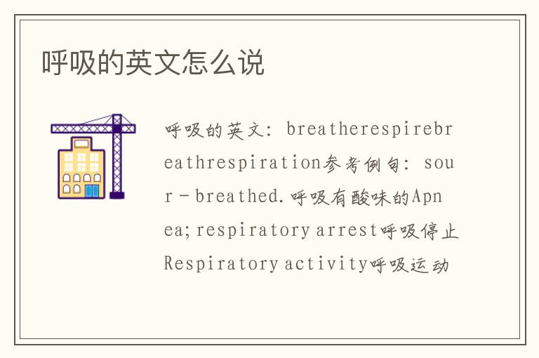 呼吸的英文怎么说