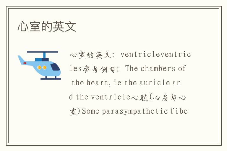 心室的英文