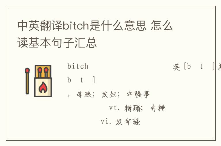 中英翻译bitch是什么意思 怎么读基本句子汇总