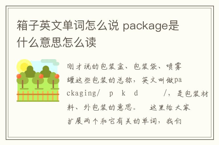 箱子英文单词怎么说 package是什么意思怎么读