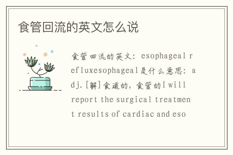 食管回流的英文怎么说