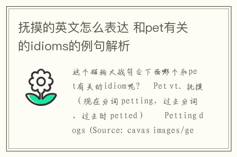 抚摸的英文怎么表达 和pet有关的idioms的例句解析