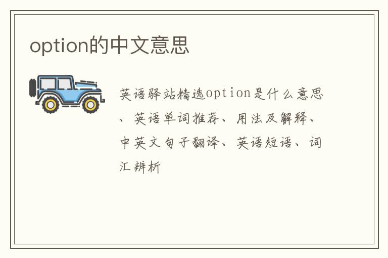 option的中文意思