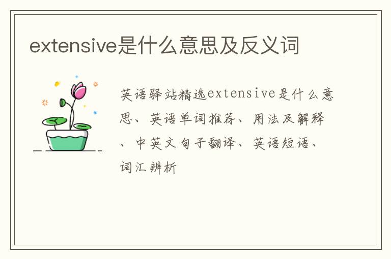 extensive是什么意思及反义词