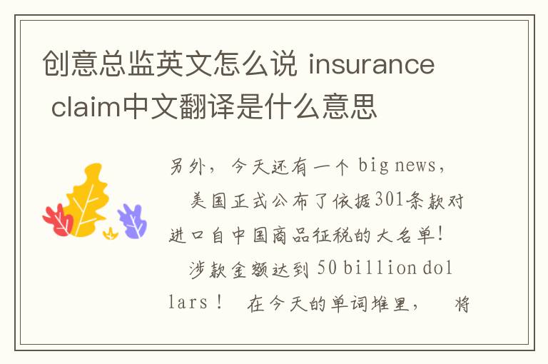 创意总监英文怎么说 insurance claim中文翻译是什么意思