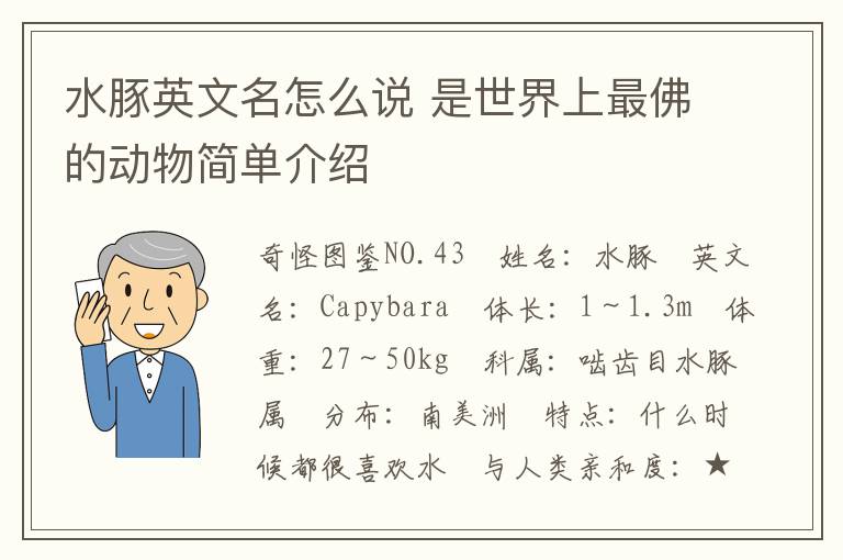 水豚英文名怎么说 是世界上最佛的动物简单介绍