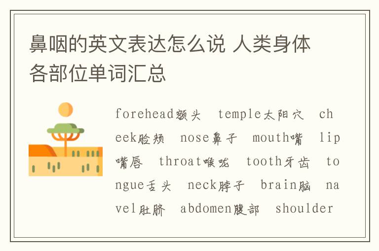 鼻咽的英文表达怎么说 人类身体各部位单词汇总