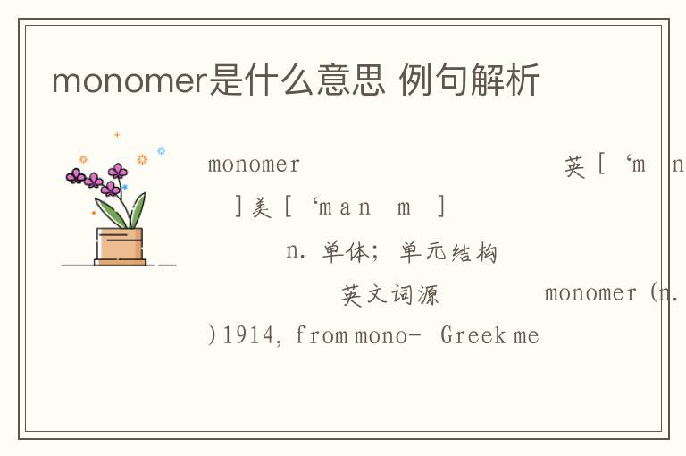 monomer是什么意思 例句解析