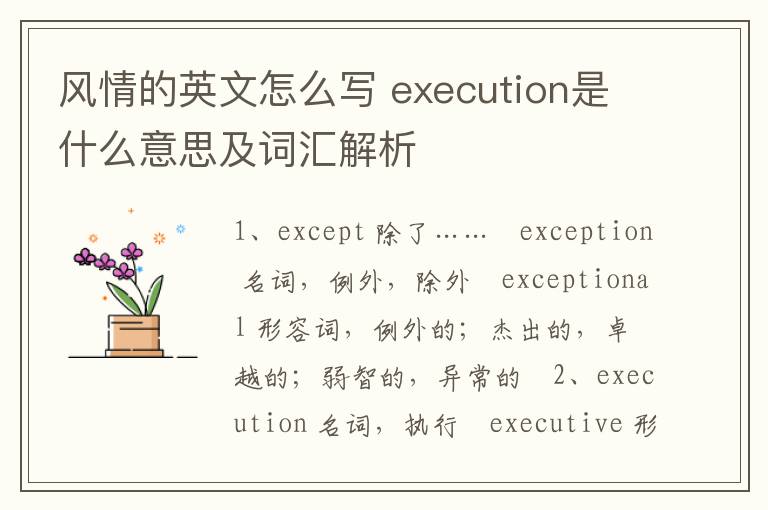 风情的英文怎么写 execution是什么意思及词汇解析