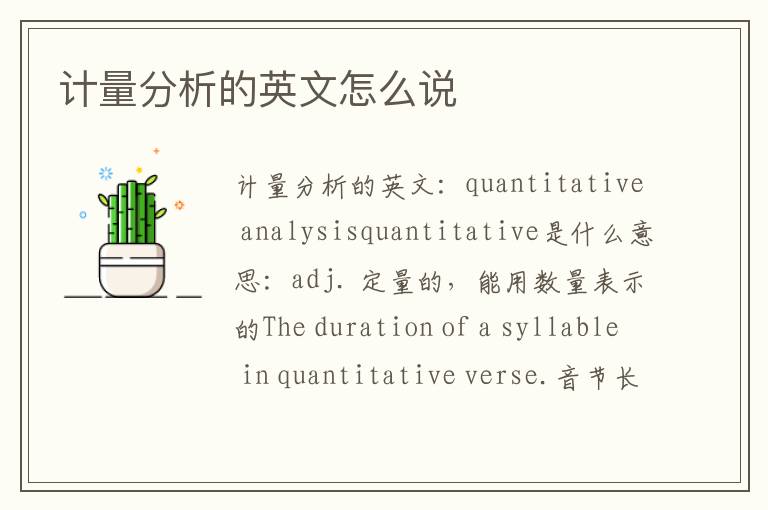 计量分析的英文怎么说