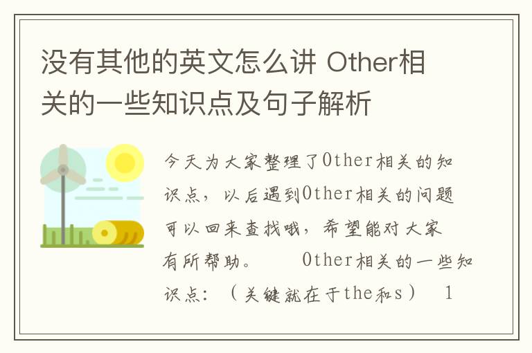 没有其他的英文怎么讲 Other相关的一些知识点及句子解析