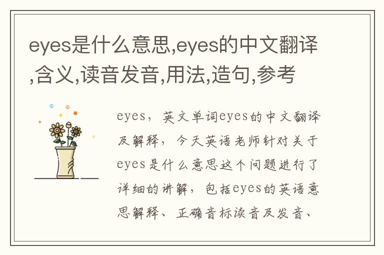 eyes是什么意思,eyes的中文翻译,含义,读音发音,用法,造句,参考例句