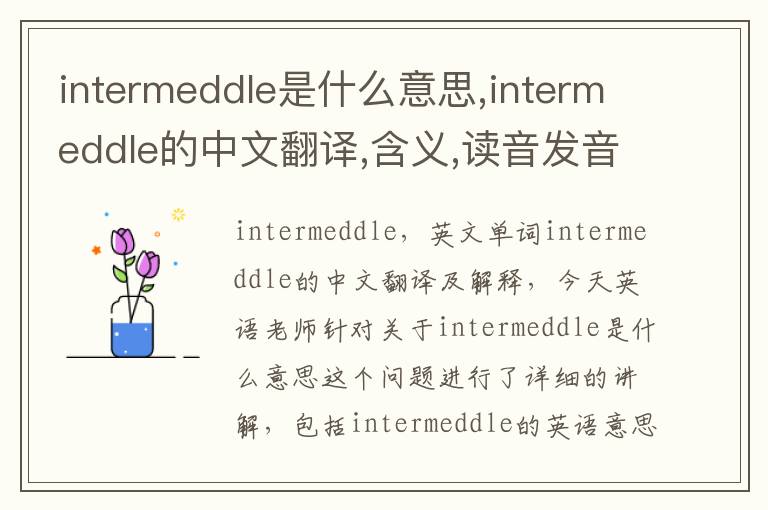 intermeddle是什么意思,intermeddle的中文翻译,含义,读音发音,用法,造句,参考例句