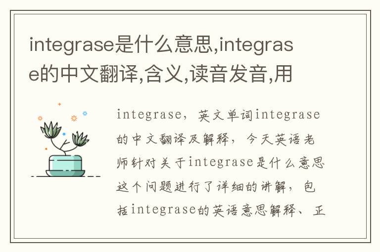 integrase是什么意思,integrase的中文翻译,含义,读音发音,用法,造句,参考例句