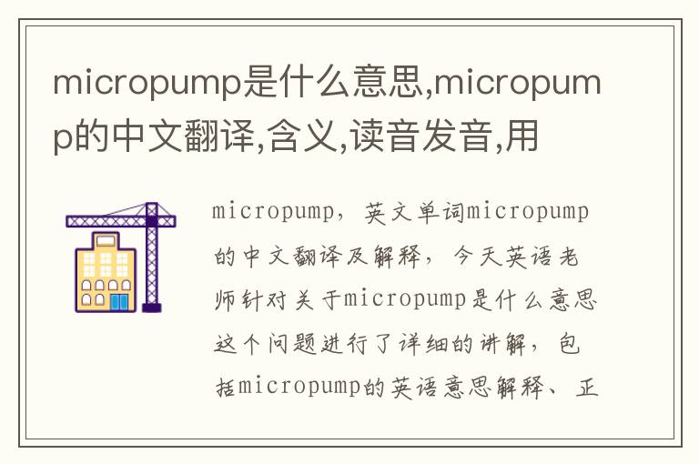 micropump是什么意思,micropump的中文翻译,含义,读音发音,用法,造句,参考例句