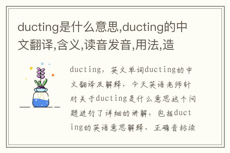 ducting是什么意思,ducting的中文翻译,含义,读音发音,用法,造句,参考例句