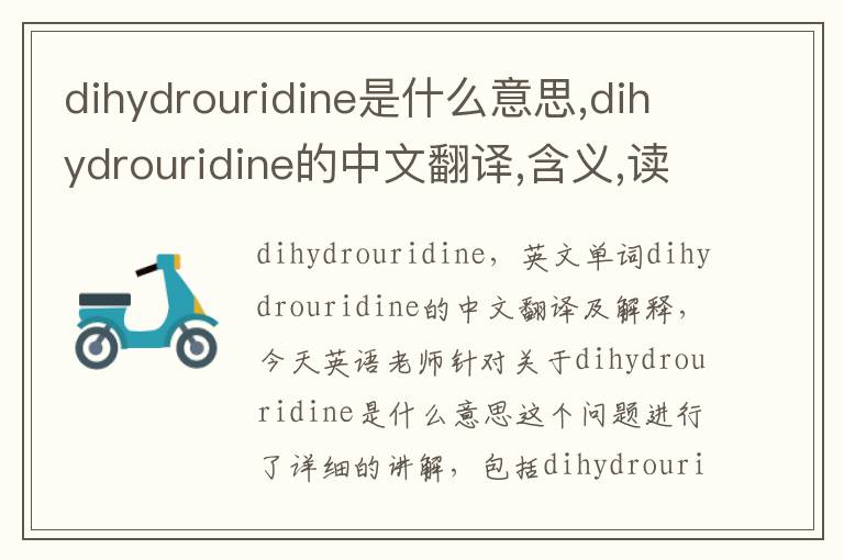 dihydrouridine是什么意思,dihydrouridine的中文翻译,含义,读音发音,用法,造句,参考例句