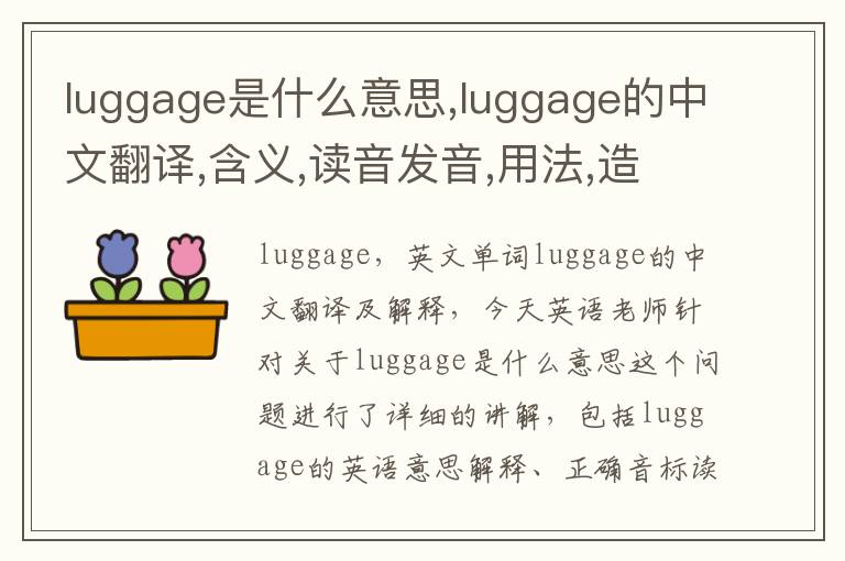 luggage是什么意思,luggage的中文翻译,含义,读音发音,用法,造句,参考例句