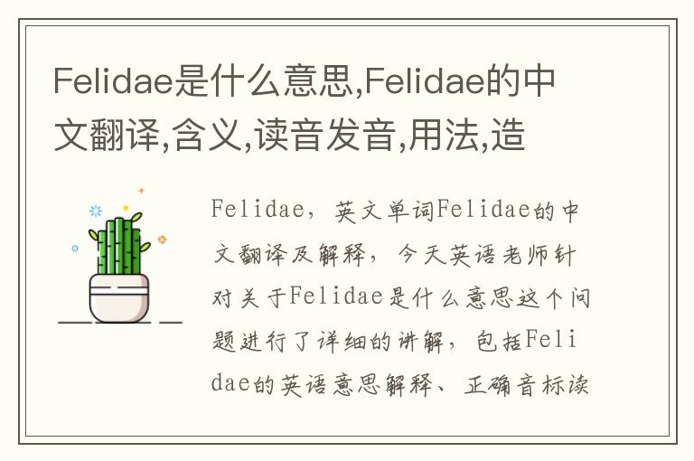 Felidae是什么意思,Felidae的中文翻译,含义,读音发音,用法,造句,参考例句