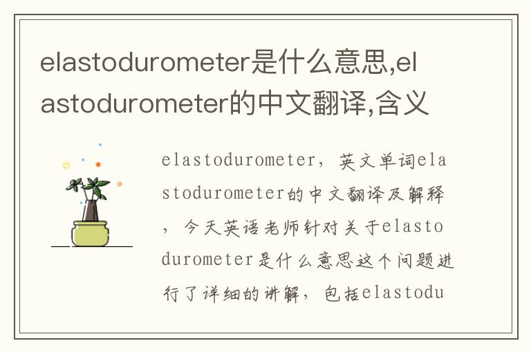 elastodurometer是什么意思,elastodurometer的中文翻译,含义,读音发音,用法,造句,参考例句