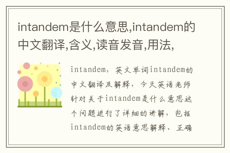 intandem是什么意思,intandem的中文翻译,含义,读音发音,用法,造句,参考例句