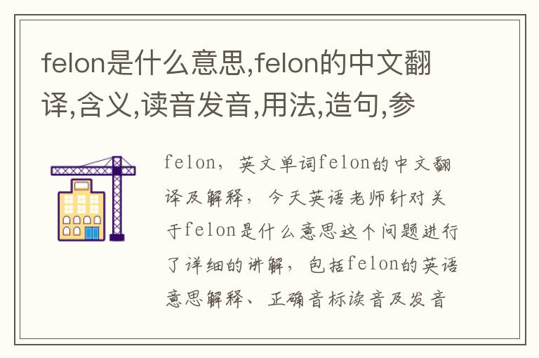 felon是什么意思,felon的中文翻译,含义,读音发音,用法,造句,参考例句