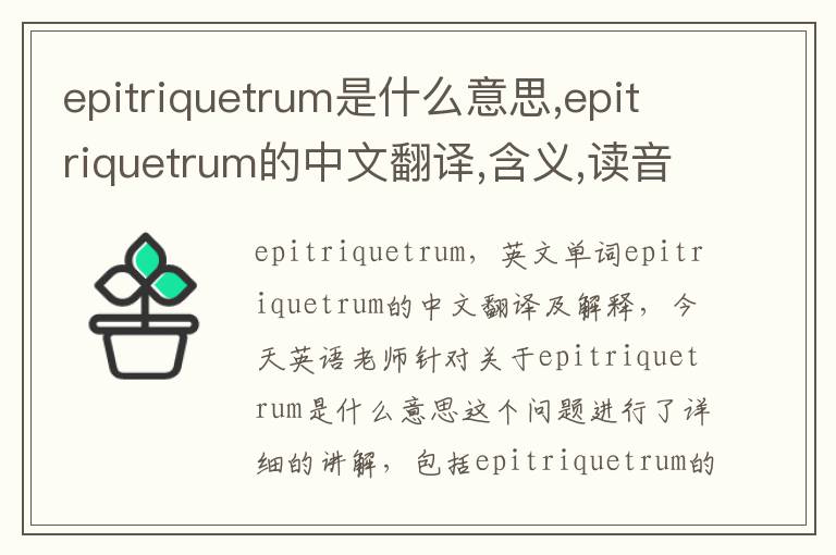 epitriquetrum是什么意思,epitriquetrum的中文翻译,含义,读音发音,用法,造句,参考例句