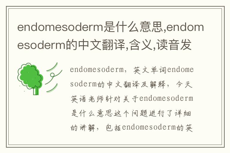 endomesoderm是什么意思,endomesoderm的中文翻译,含义,读音发音,用法,造句,参考例句