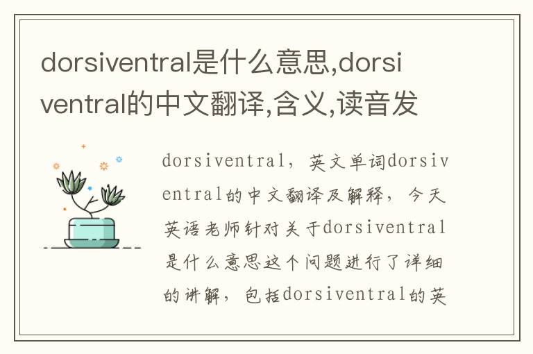 dorsiventral是什么意思,dorsiventral的中文翻译,含义,读音发音,用法,造句,参考例句