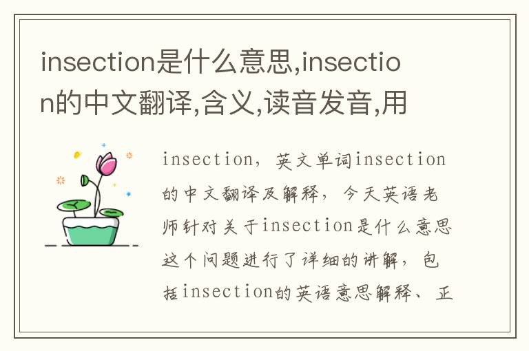 insection是什么意思,insection的中文翻译,含义,读音发音,用法,造句,参考例句