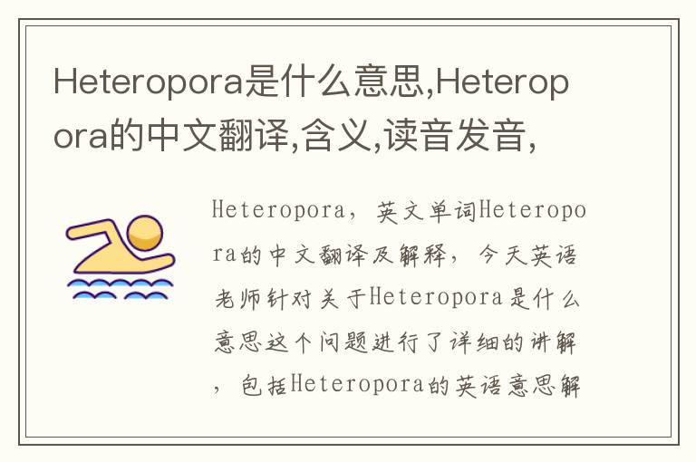 Heteropora是什么意思,Heteropora的中文翻译,含义,读音发音,用法,造句,参考例句