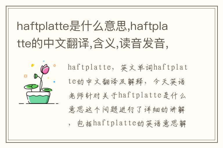 haftplatte是什么意思,haftplatte的中文翻译,含义,读音发音,用法,造句,参考例句