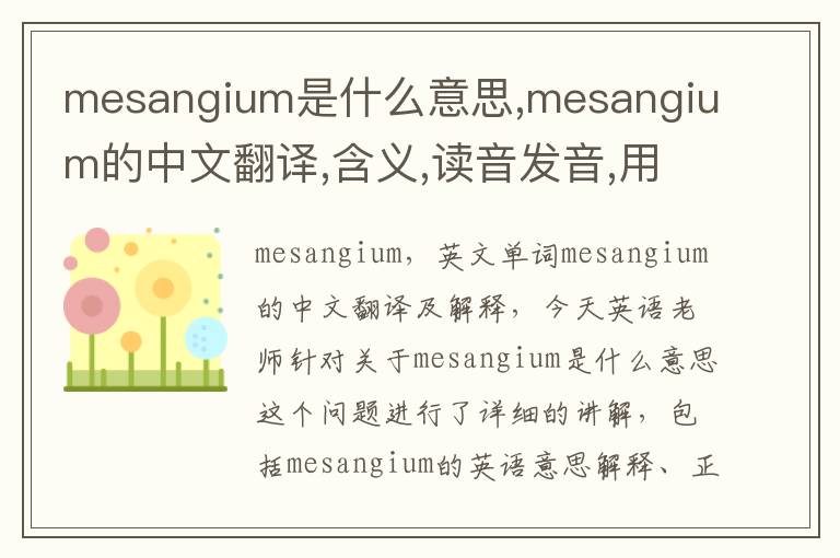 mesangium是什么意思,mesangium的中文翻译,含义,读音发音,用法,造句,参考例句