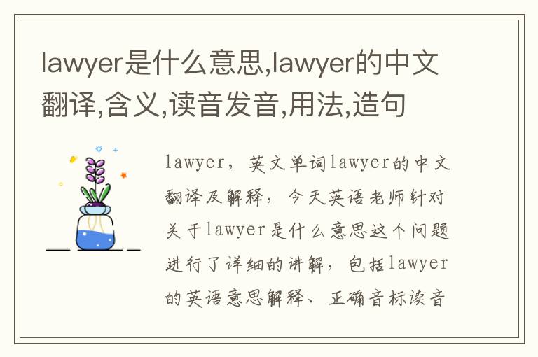 lawyer是什么意思,lawyer的中文翻译,含义,读音发音,用法,造句,参考例句