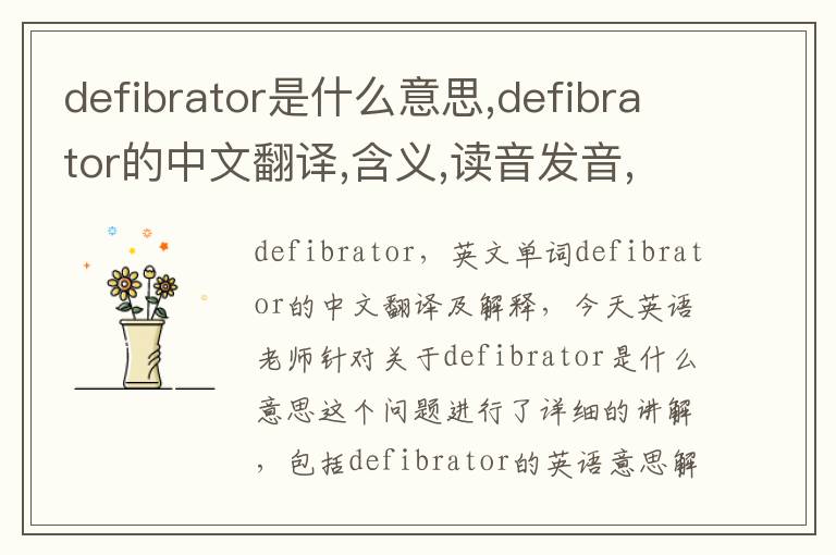 defibrator是什么意思,defibrator的中文翻译,含义,读音发音,用法,造句,参考例句