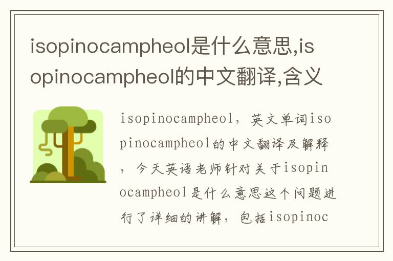 isopinocampheol是什么意思,isopinocampheol的中文翻译,含义,读音发音,用法,造句,参考例句