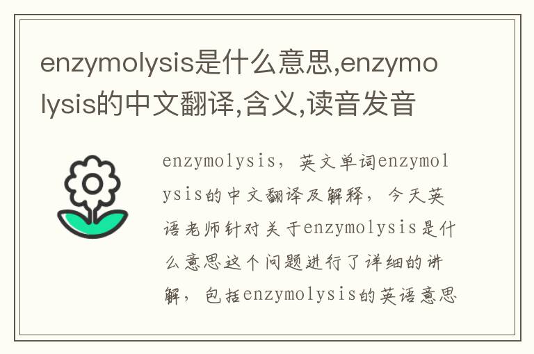 enzymolysis是什么意思,enzymolysis的中文翻译,含义,读音发音,用法,造句,参考例句