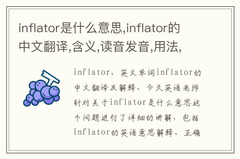 inflator是什么意思,inflator的中文翻译,含义,读音发音,用法,造句,参考例句