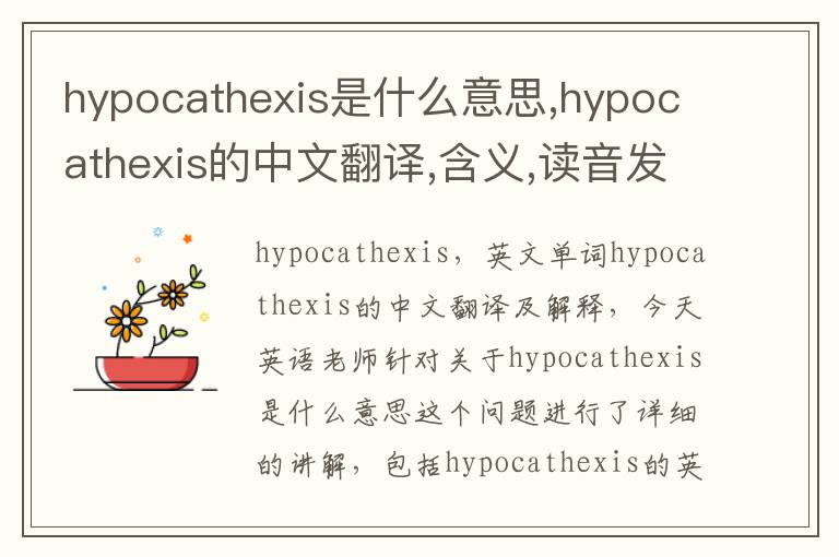 hypocathexis是什么意思,hypocathexis的中文翻译,含义,读音发音,用法,造句,参考例句