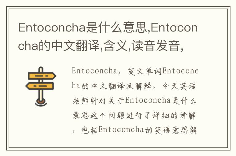 Entoconcha是什么意思,Entoconcha的中文翻译,含义,读音发音,用法,造句,参考例句