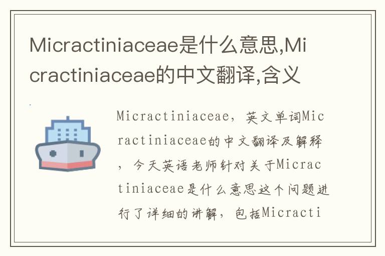 Micractiniaceae是什么意思,Micractiniaceae的中文翻译,含义,读音发音,用法,造句,参考例句