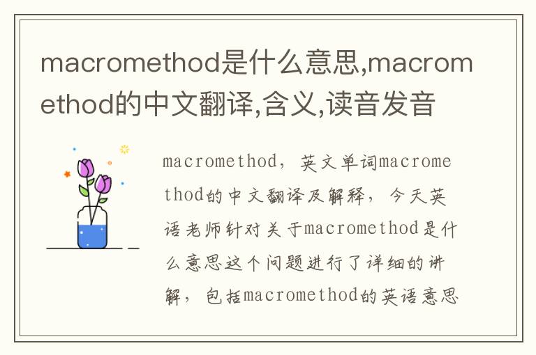 macromethod是什么意思,macromethod的中文翻译,含义,读音发音,用法,造句,参考例句