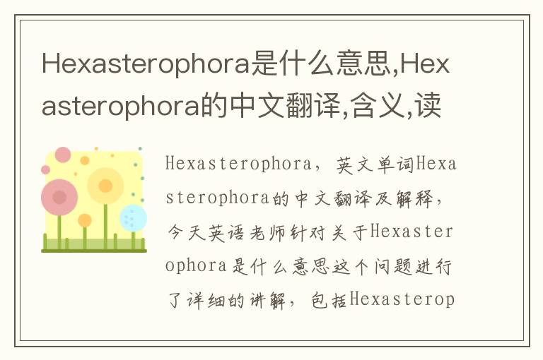 Hexasterophora是什么意思,Hexasterophora的中文翻译,含义,读音发音,用法,造句,参考例句