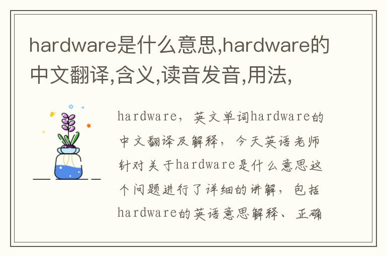 hardware是什么意思,hardware的中文翻译,含义,读音发音,用法,造句,参考例句