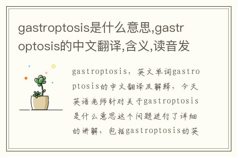 gastroptosis是什么意思,gastroptosis的中文翻译,含义,读音发音,用法,造句,参考例句