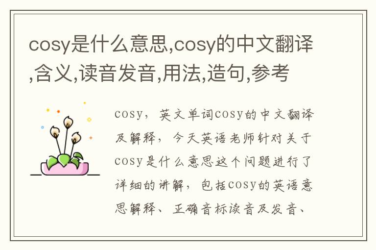 cosy是什么意思,cosy的中文翻译,含义,读音发音,用法,造句,参考例句