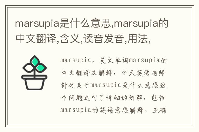 marsupia是什么意思,marsupia的中文翻译,含义,读音发音,用法,造句,参考例句